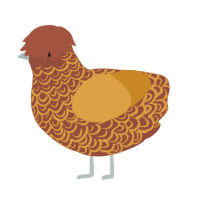 Treasure, a russet and orange chicken with a double-lace pattern