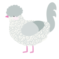 Silkie, a white and silver chicken with a double-lace pattern