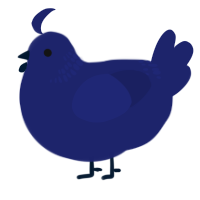 constellation, a navy chicken with a neck-band pattern