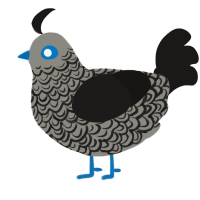 A ash and sable chicken with a double-lace pattern