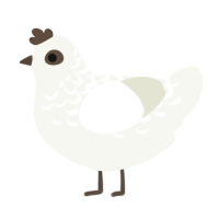 A white chicken with a half-lace pattern