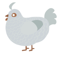 Bubbles, a mist and silver chicken with a lace pattern
