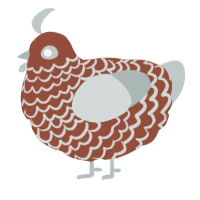 A russet and silver chicken with a lace pattern