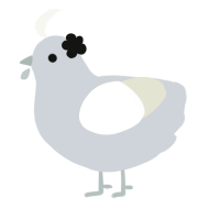bowl, a mist and white chicken