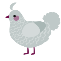 (unnamed), a silver chicken with a lace pattern