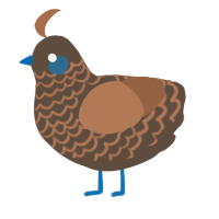 Inn Keep, a bark and brown chicken with a lace pattern