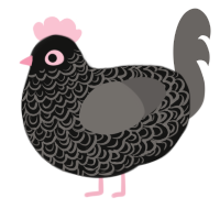 Saint, a black and grey chicken with a double-lace pattern