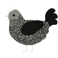 (unnamed), a ash and black chicken with a double-lace pattern