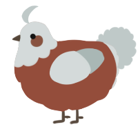 (unnamed), a russet and silver chicken with a head pattern