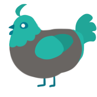 chimku, a grey and turquoise chicken with a head pattern