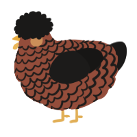 (unnamed), a russet and sable chicken with a lace pattern