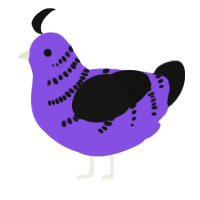 A blurple and black chicken with a half-bar pattern