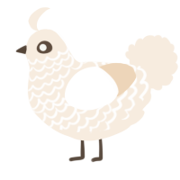 Cream, a cream chicken with a lace pattern