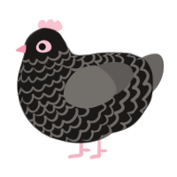 Barron A3P2, a sable and grey chicken with a lace pattern