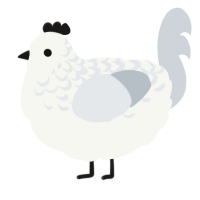 Financial Crisis, a white and mist chicken with a half-lace pattern