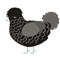A sable and grey chicken with a lace pattern