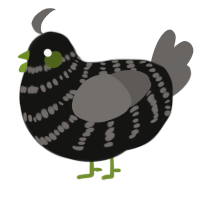 A black and grey chicken with a bar pattern