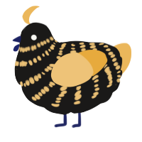 Barry, a sable and honey chicken with a bar pattern