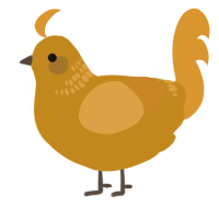 Pie, a ochre and orange chicken with a neck-band pattern