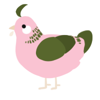 (unnamed), a rose and olive chicken with a neck-band pattern