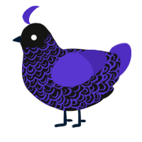 (unnamed), a black and indigo chicken with a double-lace pattern