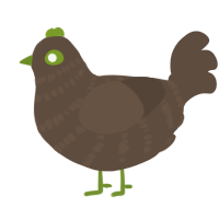 Keewee, a bark chicken with a bar pattern