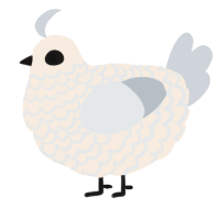 Iirki, a cream and mist chicken with a lace pattern