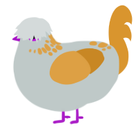 cereal, a silver and orange chicken with a neck-speckle pattern