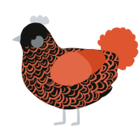A black and vermilion chicken with a double-lace pattern