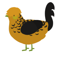 Pumpkin Seed, a ochre and sable chicken with a half-lace pattern