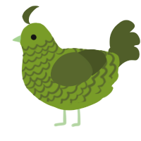 dill, a chartreuse and olive chicken with a lace pattern
