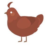 Junkyard, a russet chicken with a head pattern