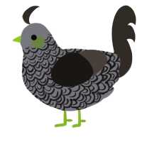 Cactus, a ash and mist chicken with a double-lace pattern
