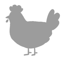 A white and pink chicken with a lace pattern