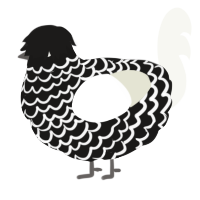 Walter, a sable and white chicken with a lace pattern