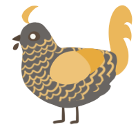 Traffic, a grey and honey chicken with a lace pattern