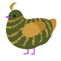 Durian, a olive and gold chicken with a bar pattern
