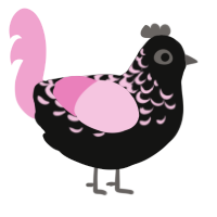 Moon Dust, a black and pink chicken with a half-lace pattern