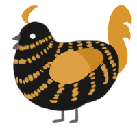 (unnamed), a sable and orange chicken with a bar pattern