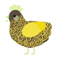 Beansprout, a bark and yellow chicken with a double-lace pattern