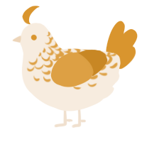 Caramel Corn, a cream and orange chicken with a half-lace pattern