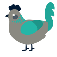 Tally, a ash and turquoise chicken with a neck-speckle pattern