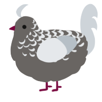 (unnamed), a grey and mist chicken with a half-lace pattern