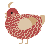 Apple Pie, a red and beige chicken with a lace pattern