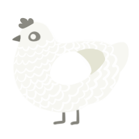 A white chicken with a lace pattern