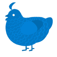 A sapphire chicken with a lace pattern