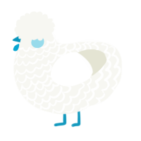 Sea salt, a white chicken with a lace pattern