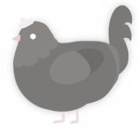 unnamed, a grey chicken with a head pattern