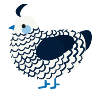 A white and tumblr chicken with a lace pattern
