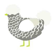 N2, a ash and white chicken with a lace pattern